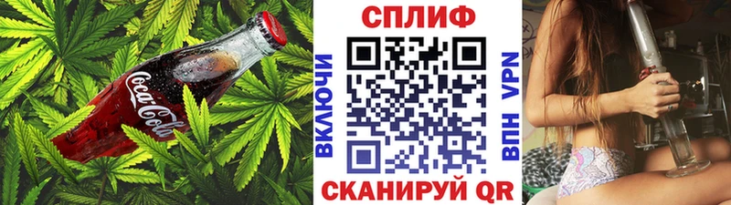 Canna-Cookies конопля  продажа наркотиков  Покров 