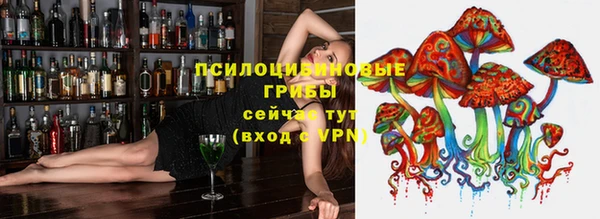 твердый Алексеевка